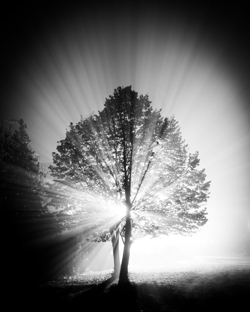 Фотография автора Minja Jovetic