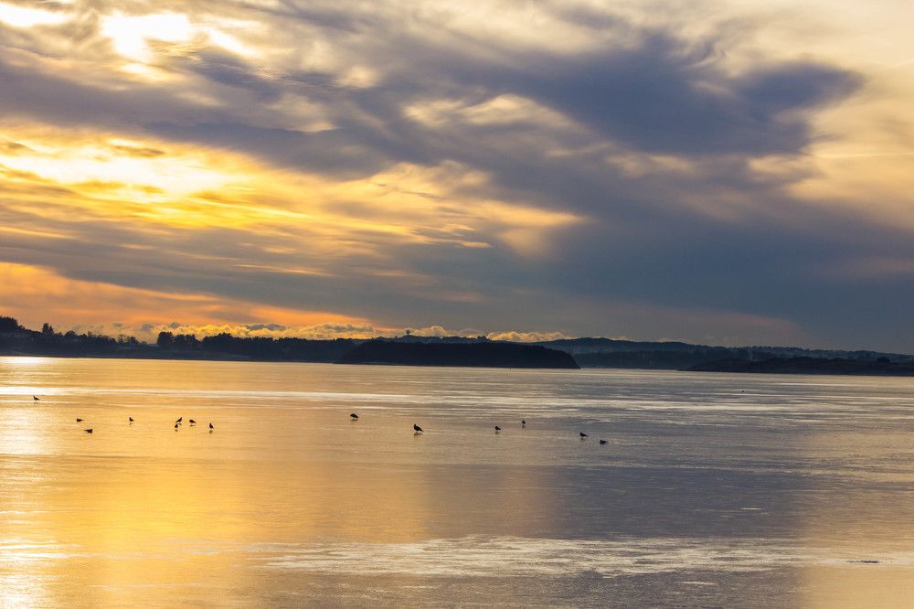 Фотография автора Minja Jovetic