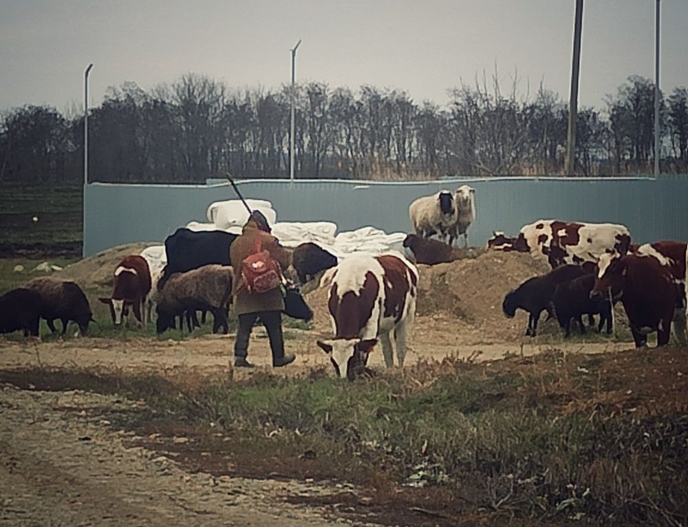 Фотография автора Таня Долгушева