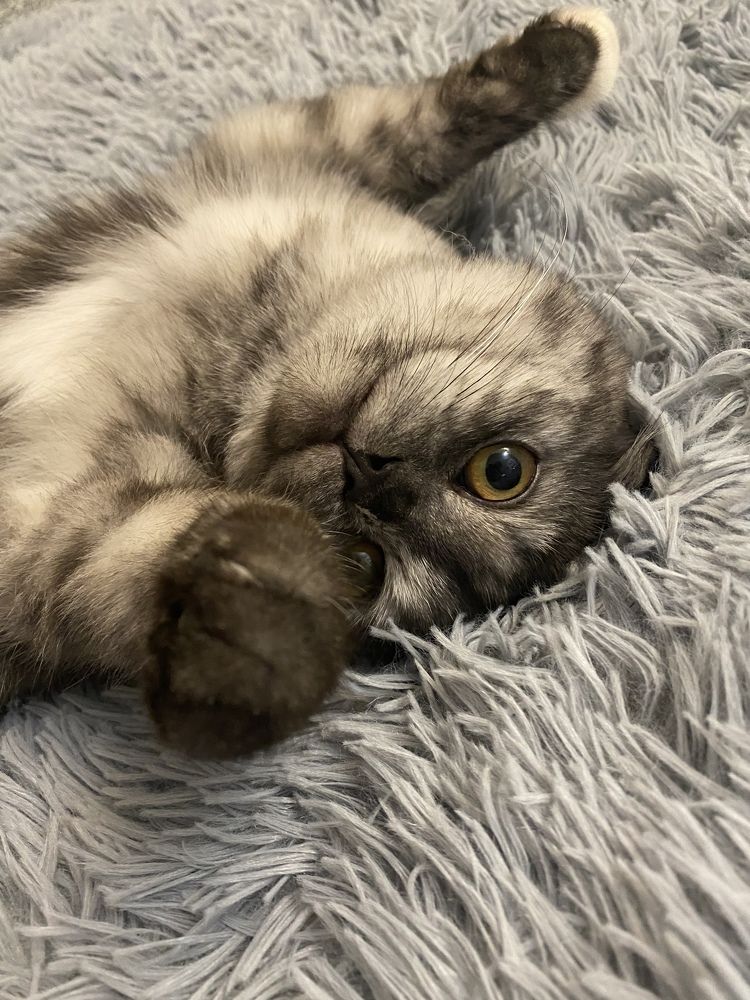 Photograph by Ирина Бабынцева