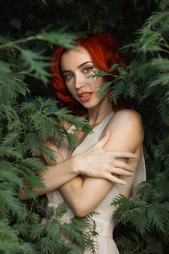 Photograph by Дмитрий Бабынцев