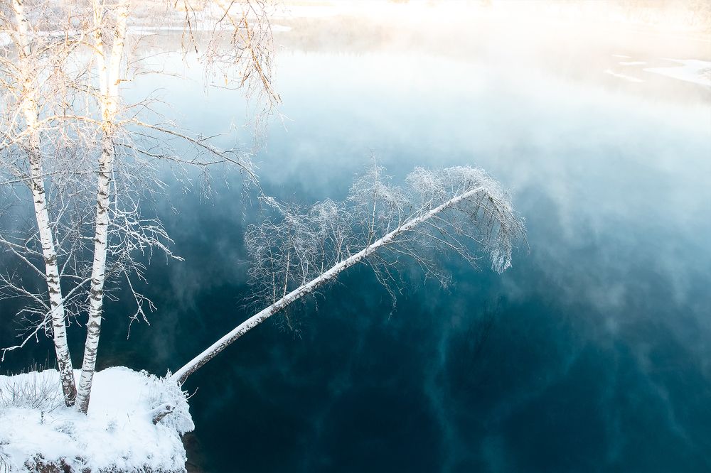 Photograph by Светлана Гущина