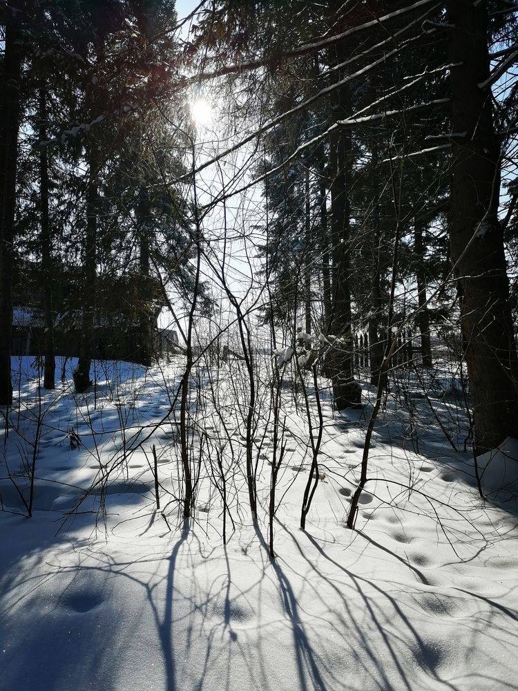 Photograph by Галина Карманова