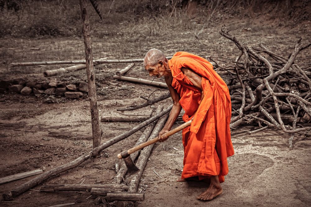 Photograph by Thiwanka janadara Deshapriya