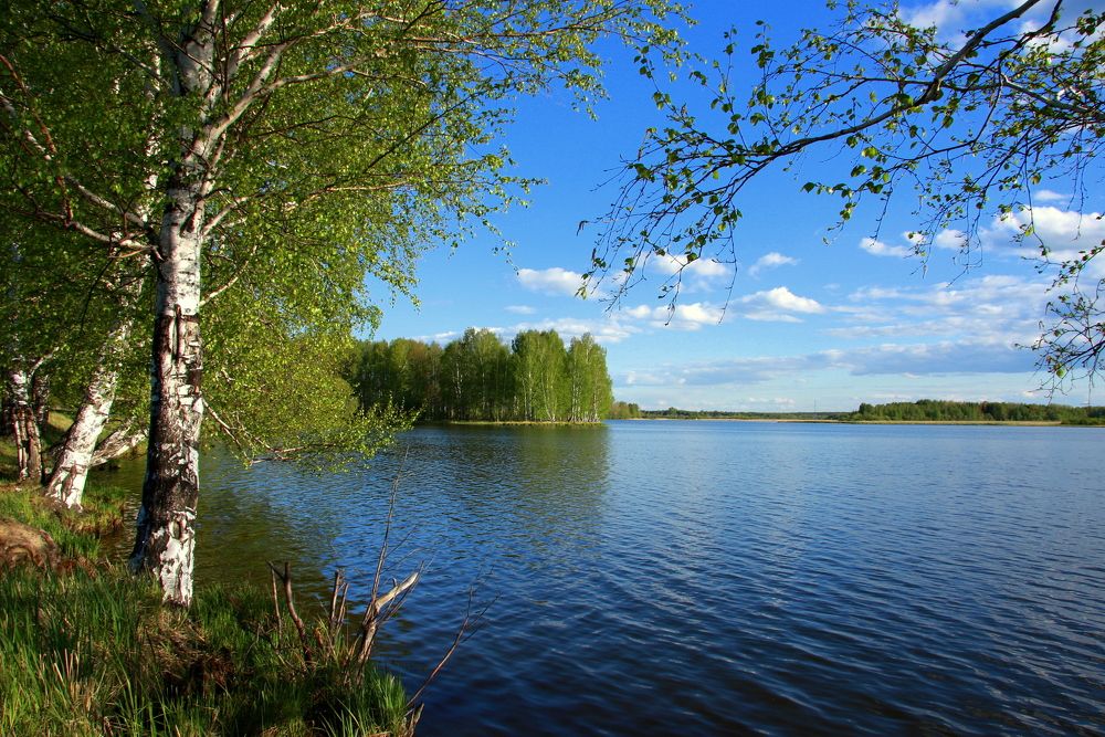 Фотография автора Nelya  Lysenko