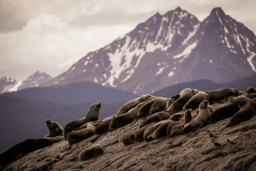 Photograph by Юлия Калугина
