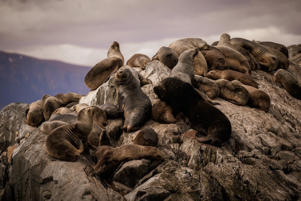 Photograph by Юлия Калугина