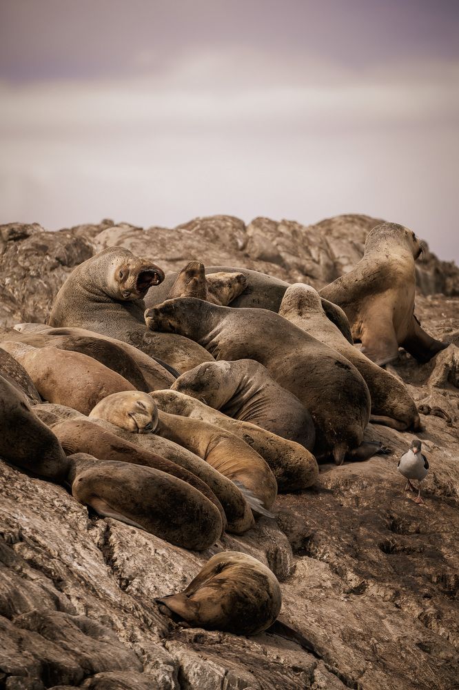 Photograph by Юлия Калугина