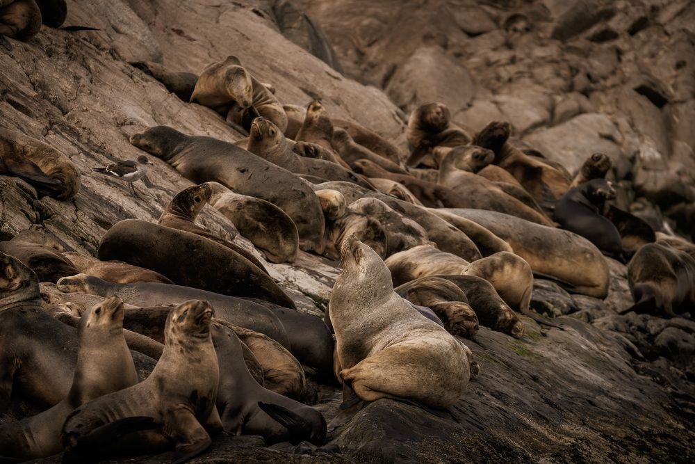 Photograph by Юлия Калугина