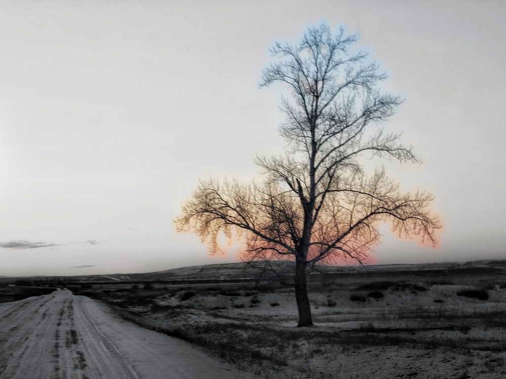 Photograph by Анастасия Дубинина