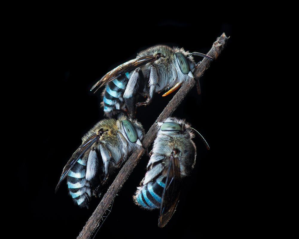 Photograph by Manjunath S