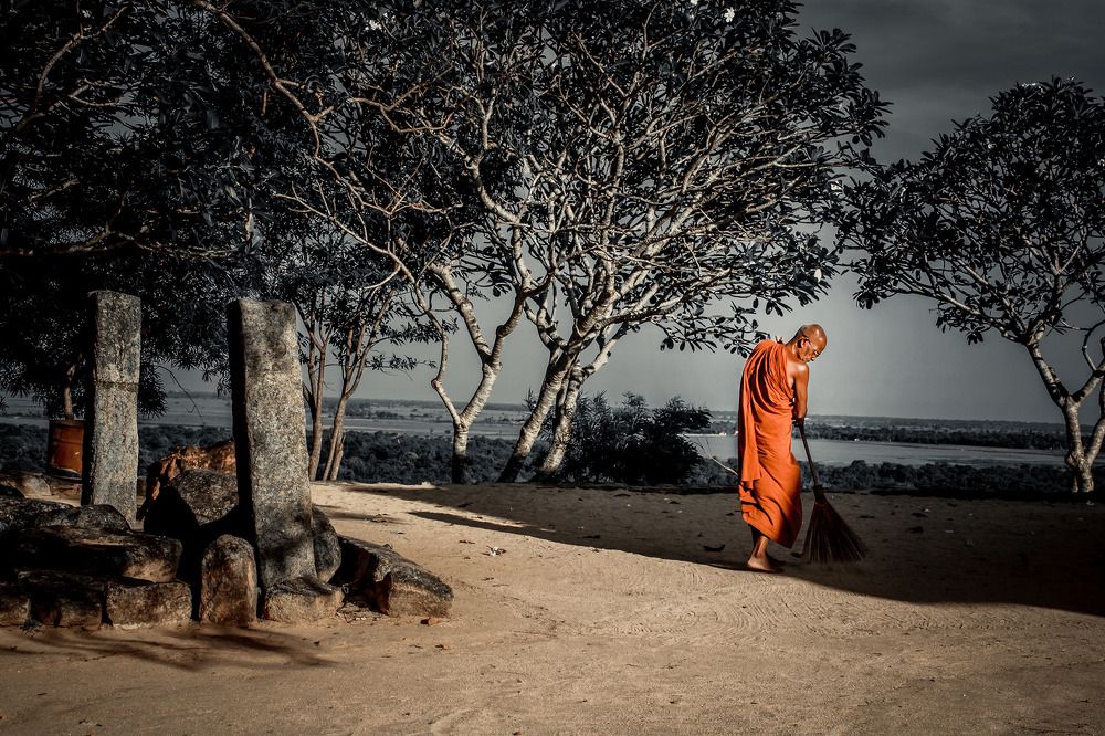 Photograph by Thiwanka janadara Deshapriya