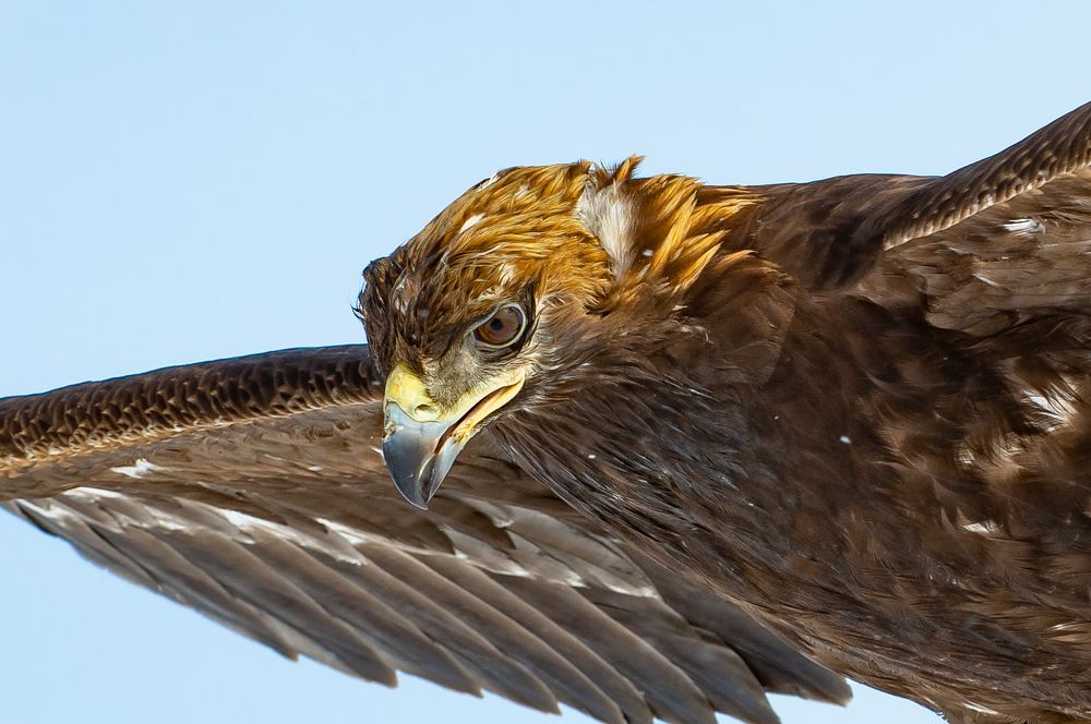 Photograph by Евгений Дроботенко