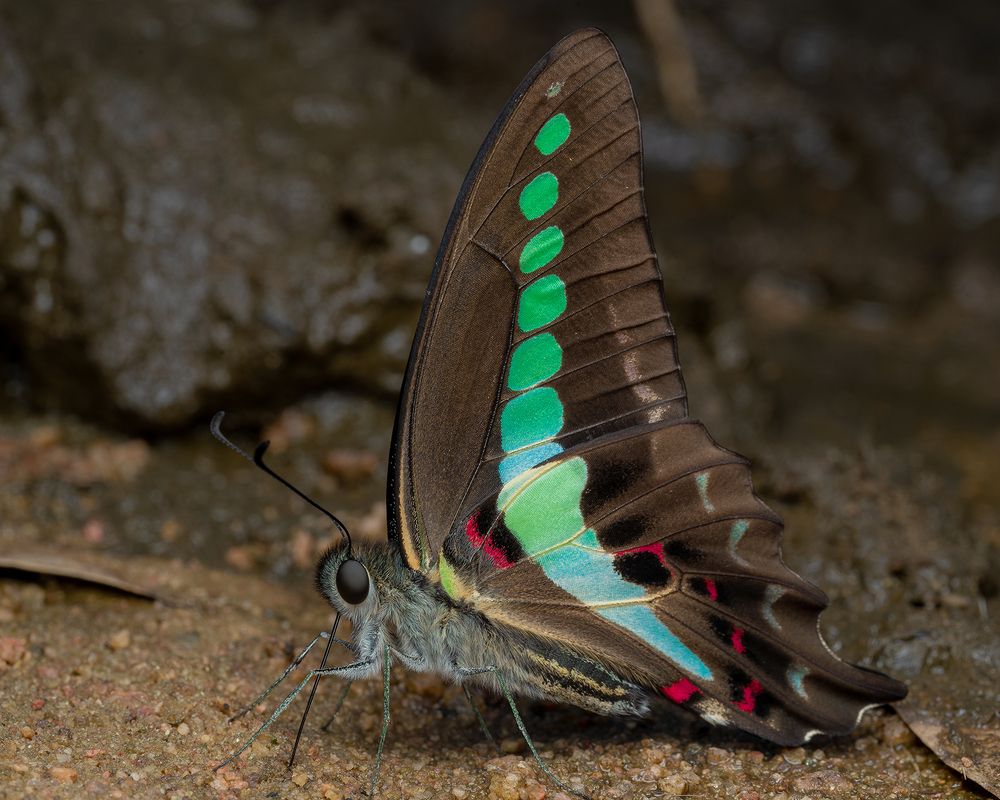 Photograph by Manjunath S