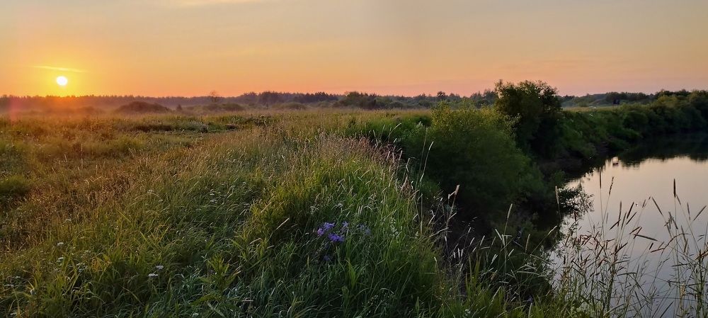 Прекрасное далеко