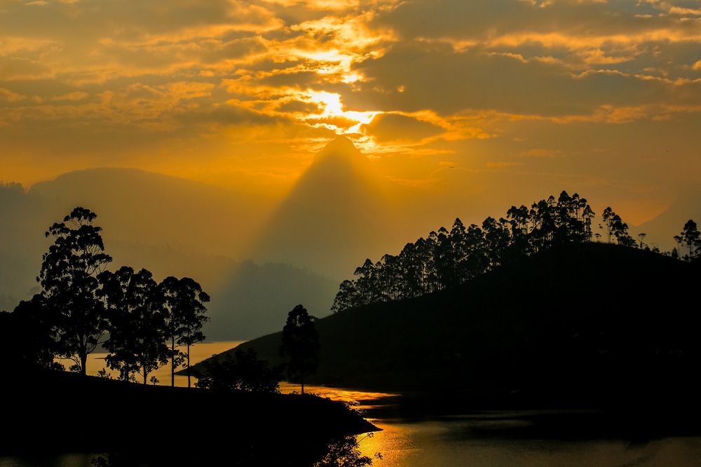 Photograph by Thiwanka janadara Deshapriya