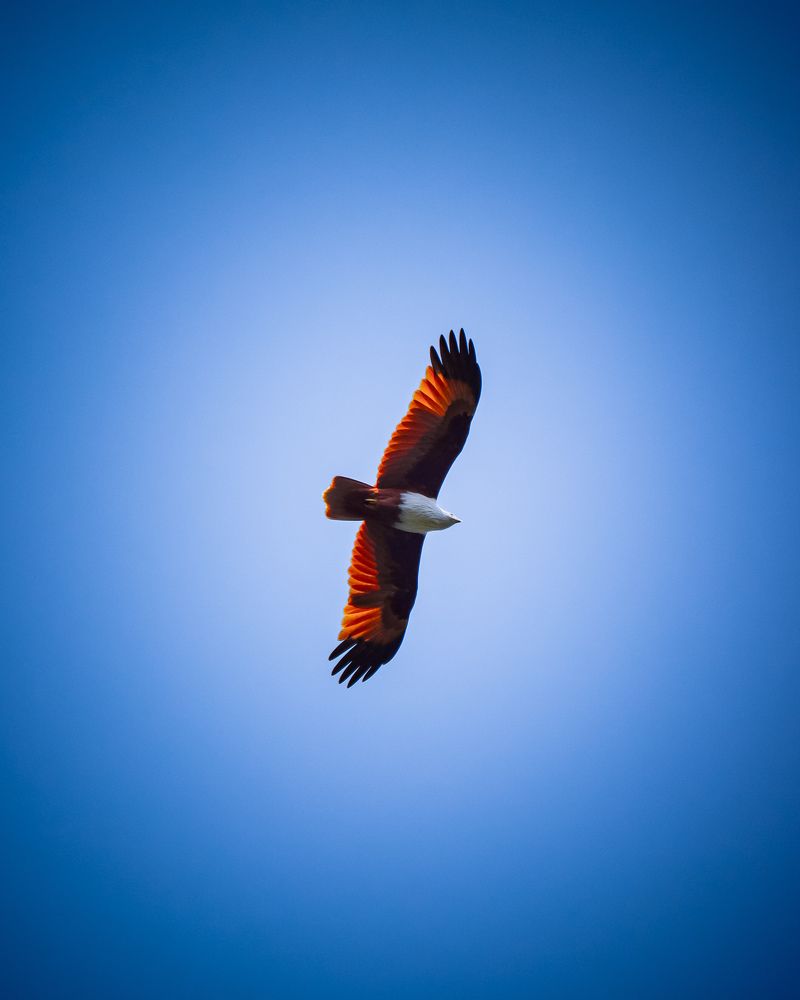 Photograph by Gokula prasath