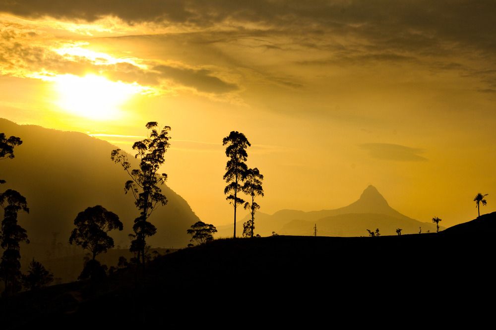 Photograph by Thiwanka janadara Deshapriya