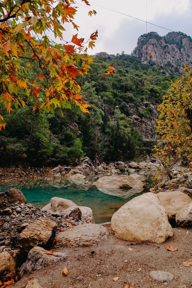 Фотография автора Oxana Yurasova