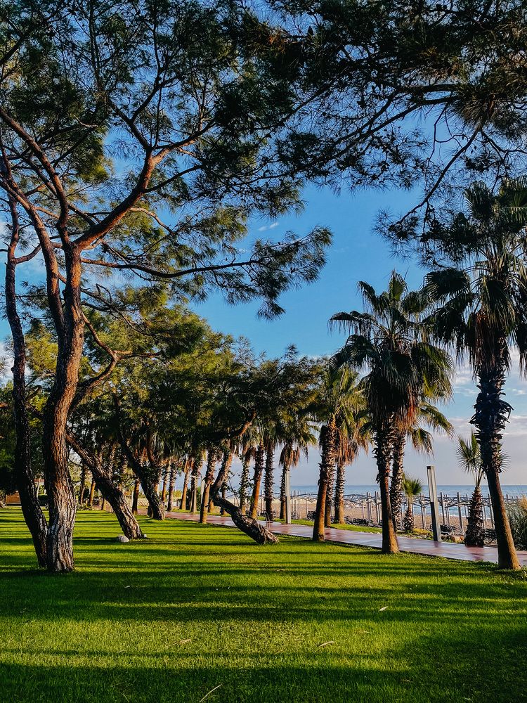 Фотография автора Oxana Yurasova