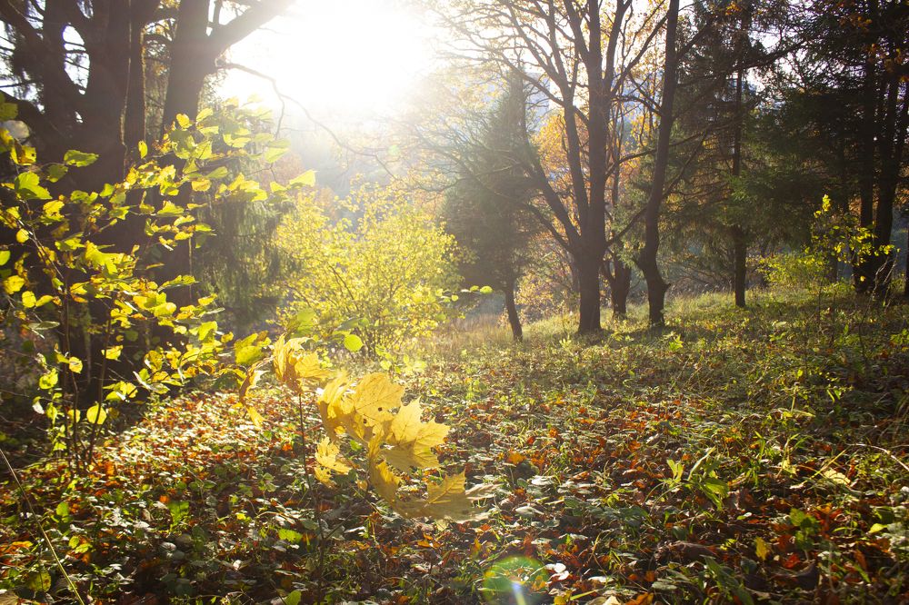 Photograph by Арсений Хотеев