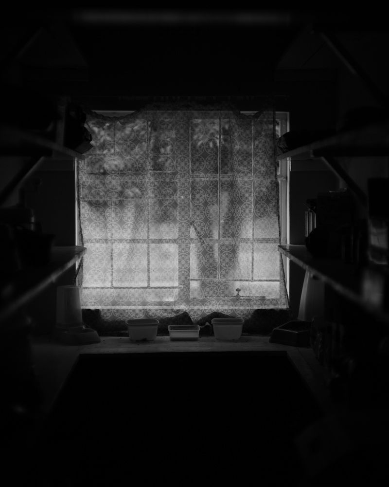 Photograph by Andrew Becker