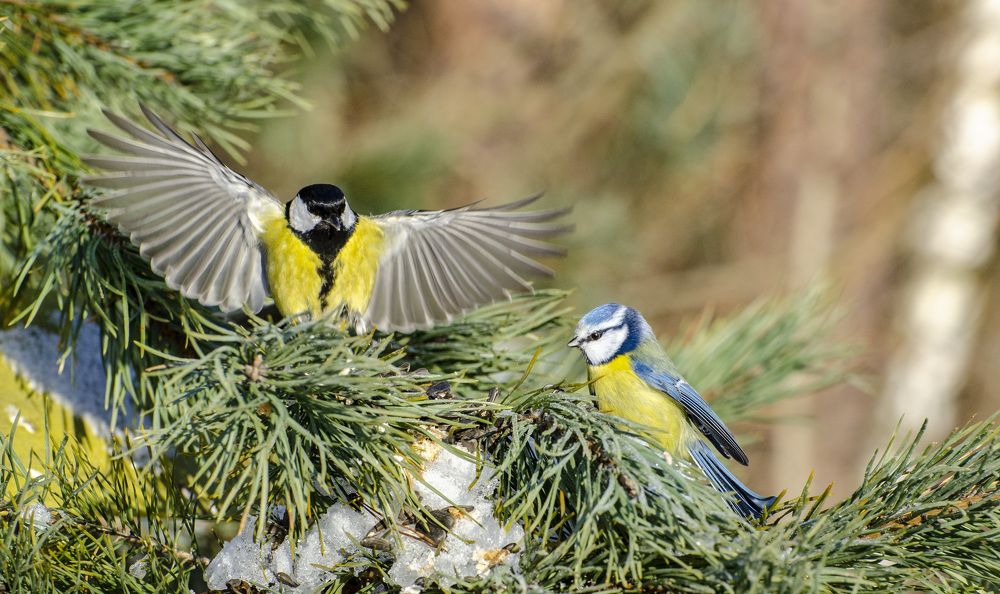 Photograph by Роман Кудрявцев