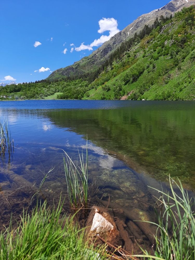 Photograph by Елена