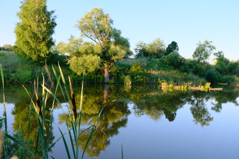 Фотография автора Илья Панкратов