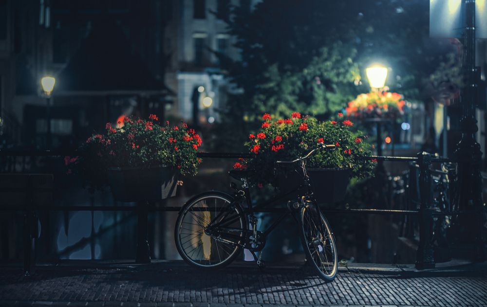 Photograph by Leompescu Emanuel