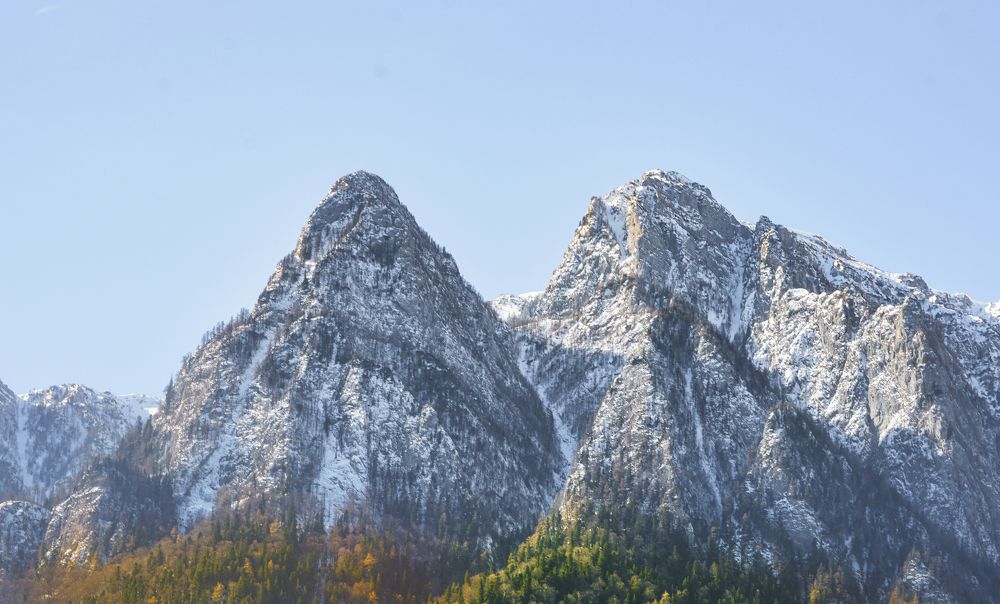 Фотография автора Leompescu Emanuel