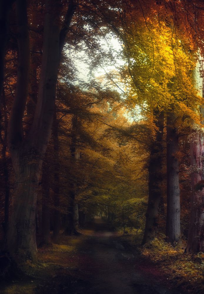 Фотография автора Leompescu Emanuel