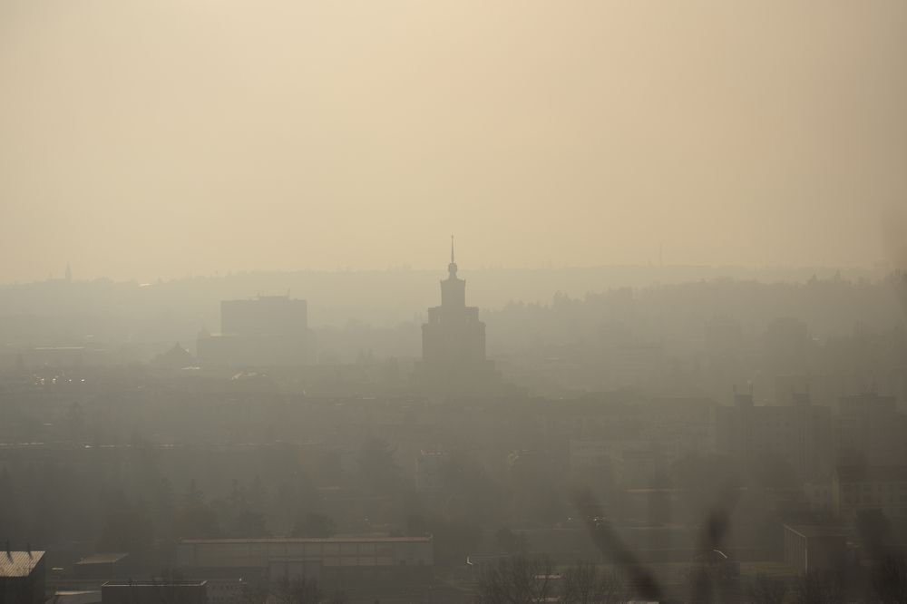 Фотография автора Денис Краснощеков