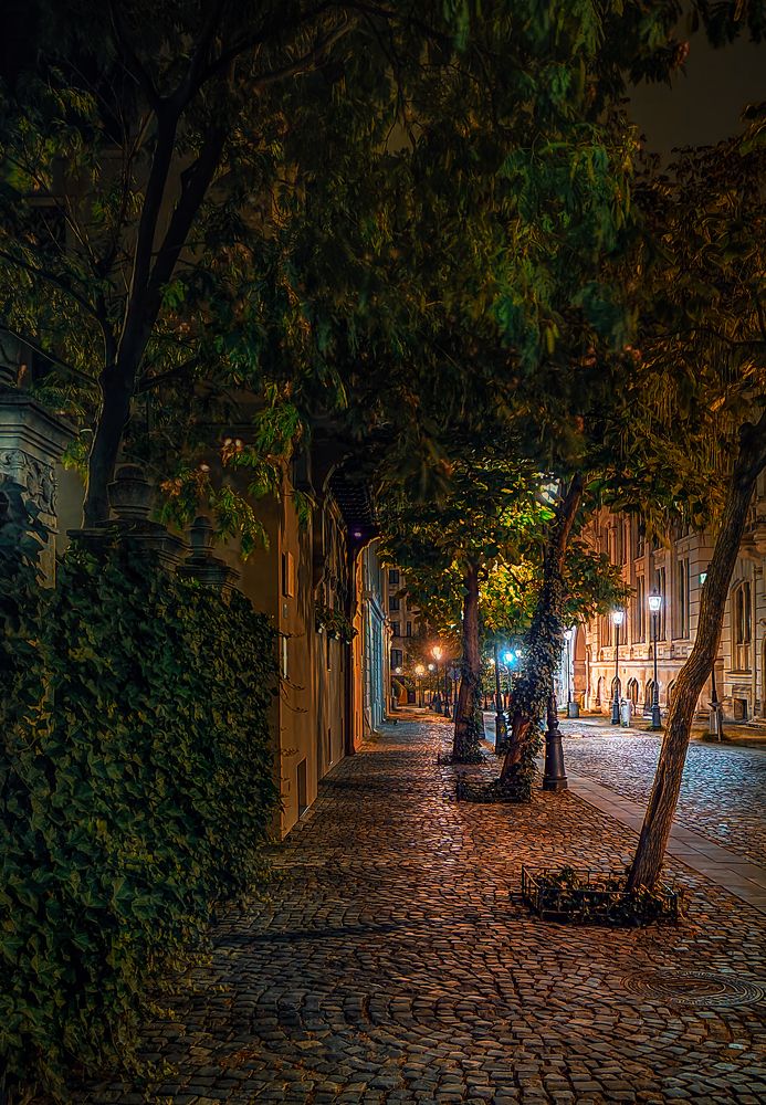 Фотография автора Leompescu Emanuel