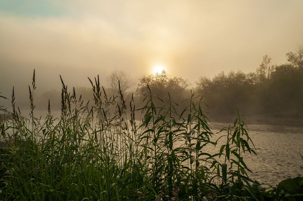 Photograph by Денис Кичев