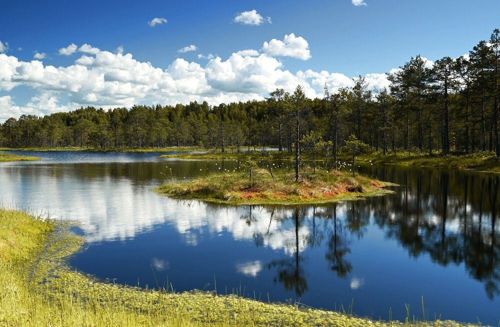 Photograph by IJA REIMAN