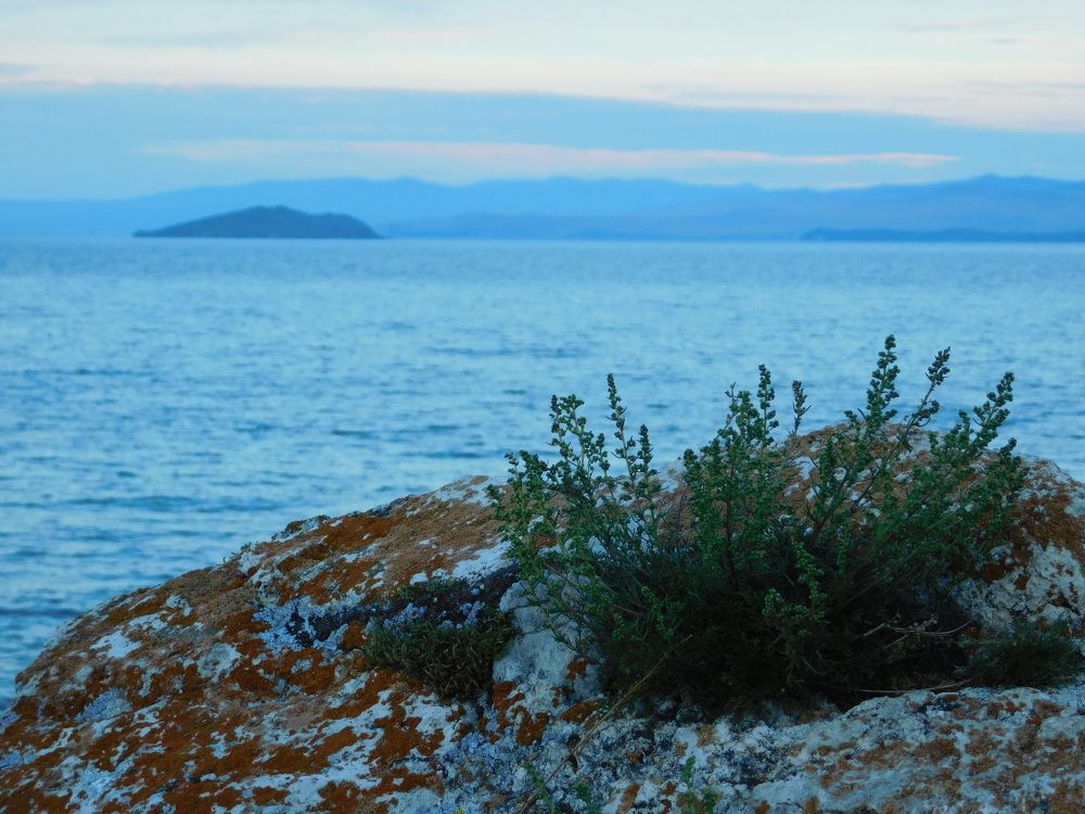 Photograph by Наталья Волкова