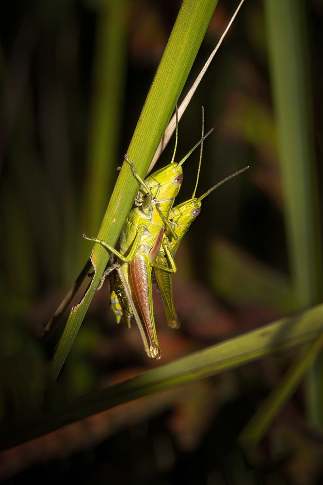 Photograph by Сергей Пискарёв