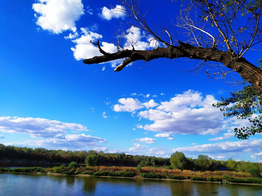 Photograph by Елена Леонович