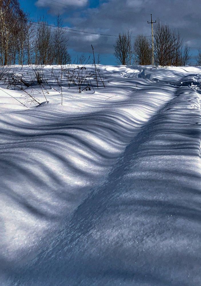 Зимние тени