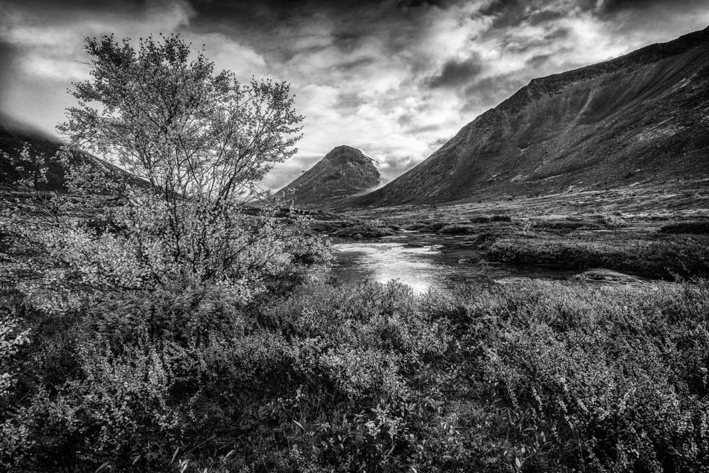 Photograph by Владимир Брагилевский