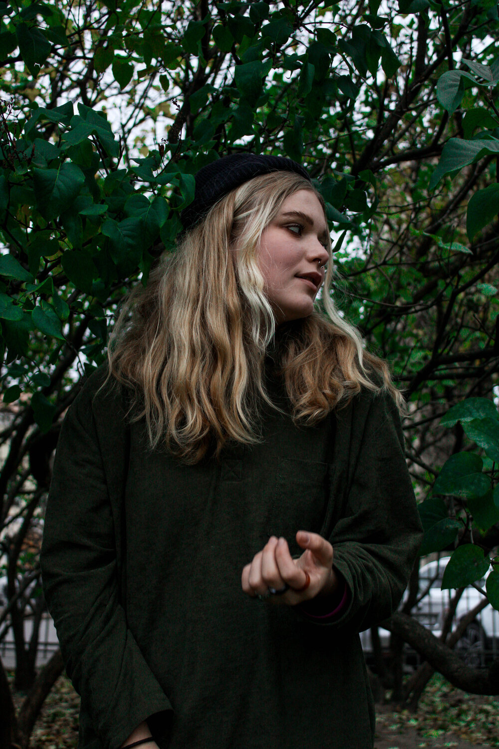 Photo #8451331