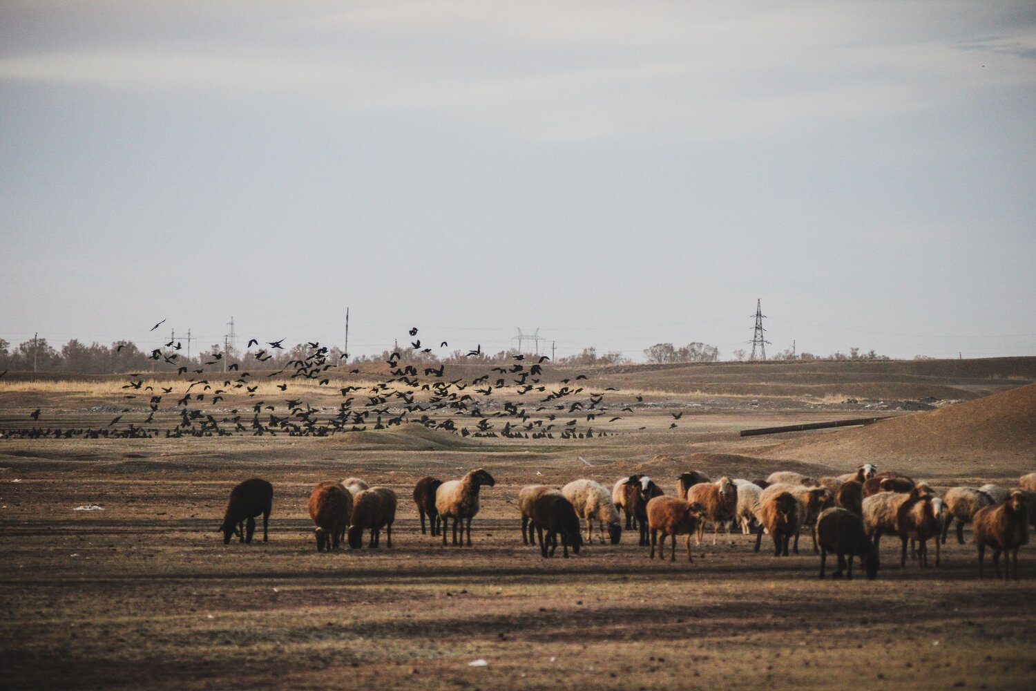 Photo #8451445