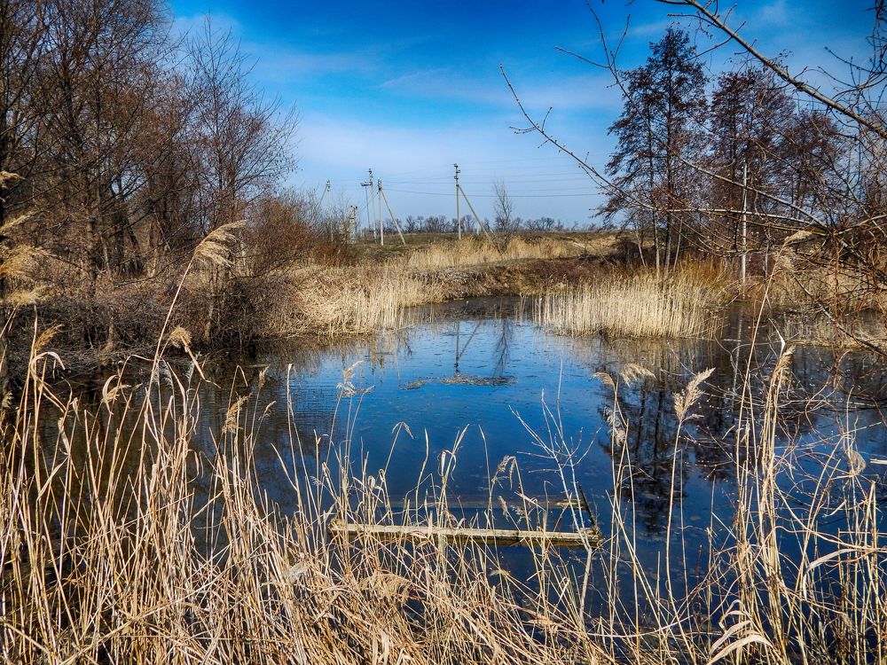 Фотография автора Валерий Цуркан