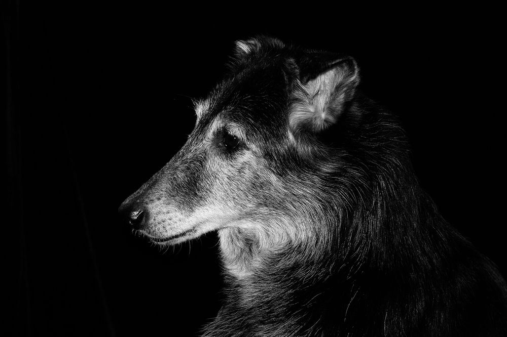 Фотография автора Надежда Лисицына