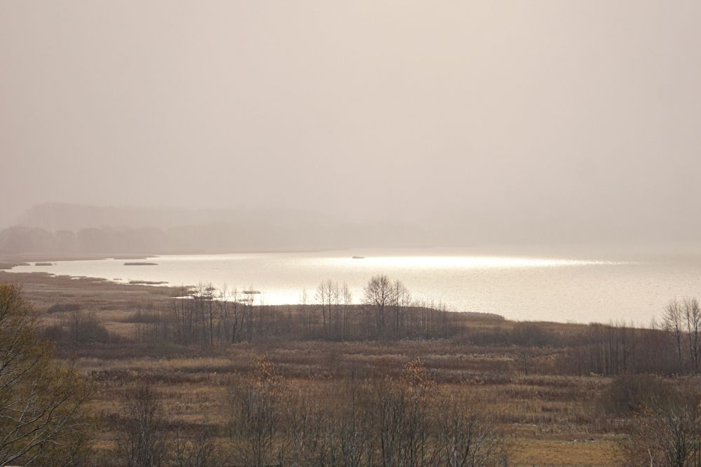 Photograph by Алфия Бугакова