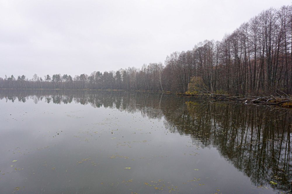 Photograph by Алфия Бугакова