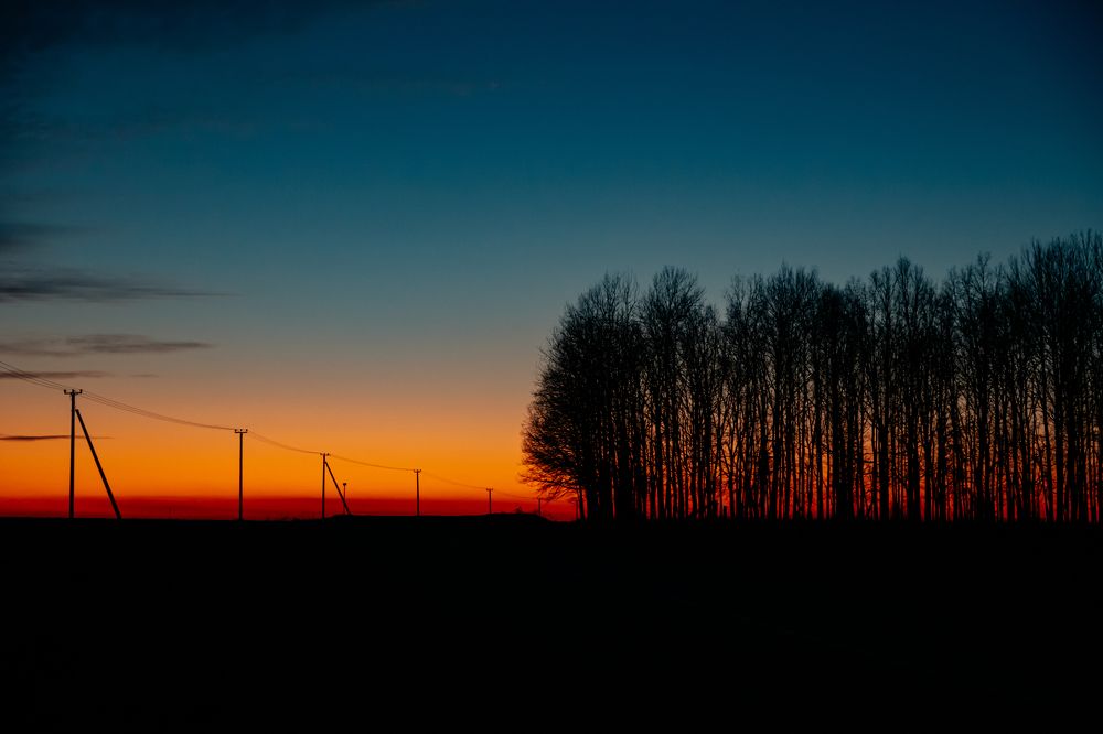 Фотография автора Лукашенко Ольга