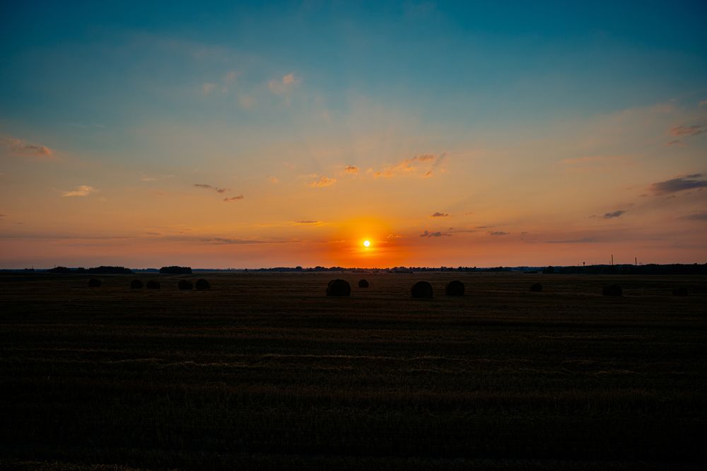 Фотография автора Лукашенко Ольга