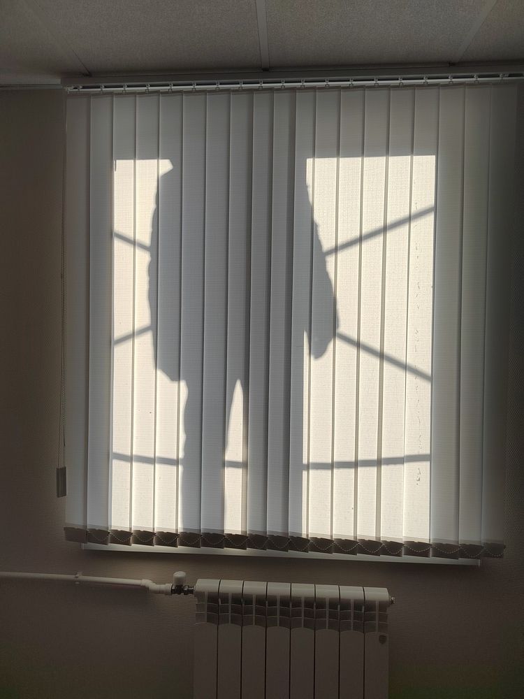 Фотография автора Юлия Лубкина